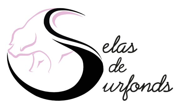 Selas de Surfonds